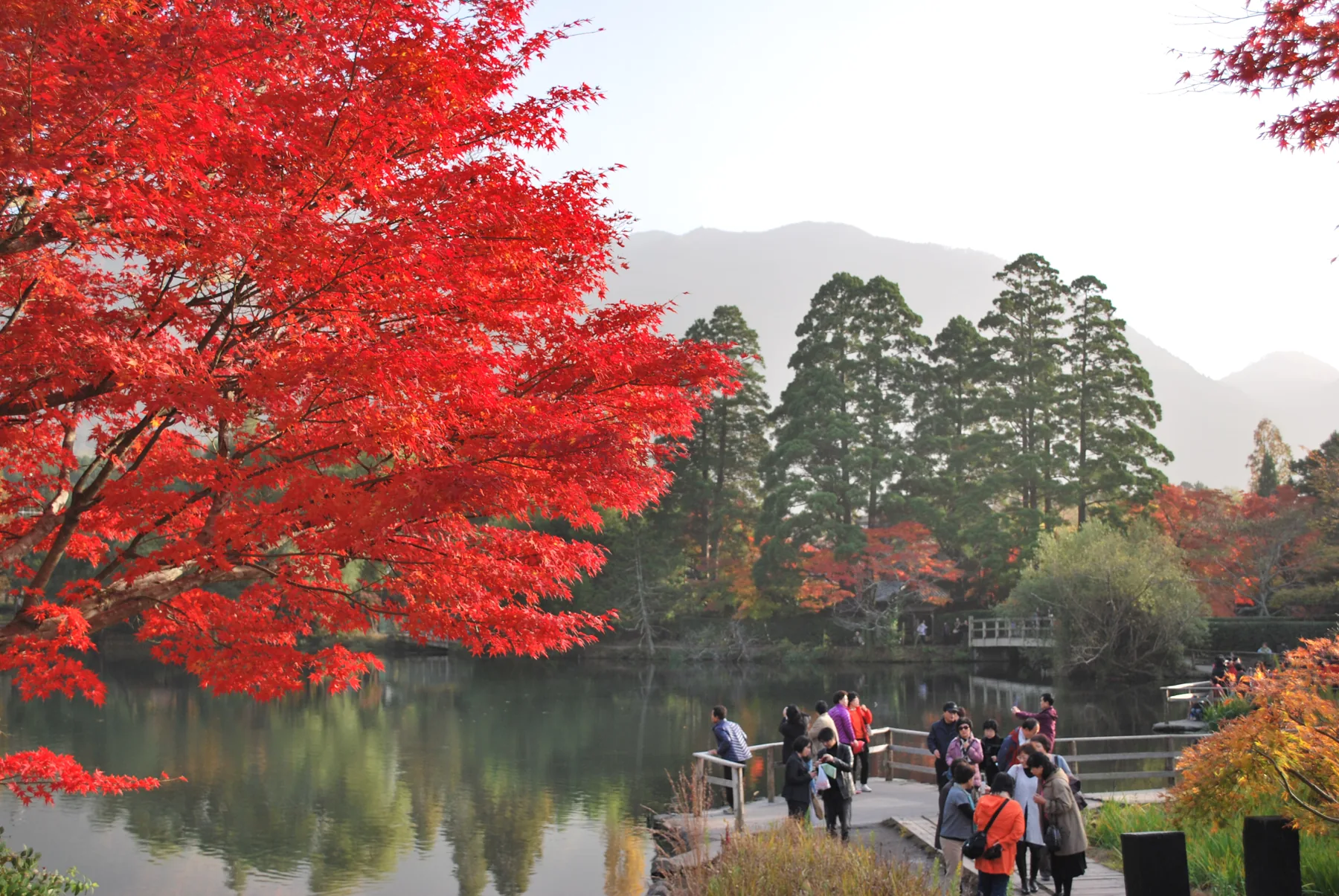 秋の紅葉に囲まれた金鱗湖